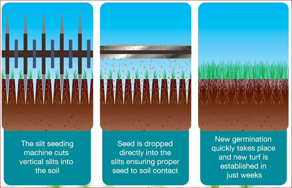 Slit Seeding